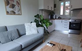 Cozy House